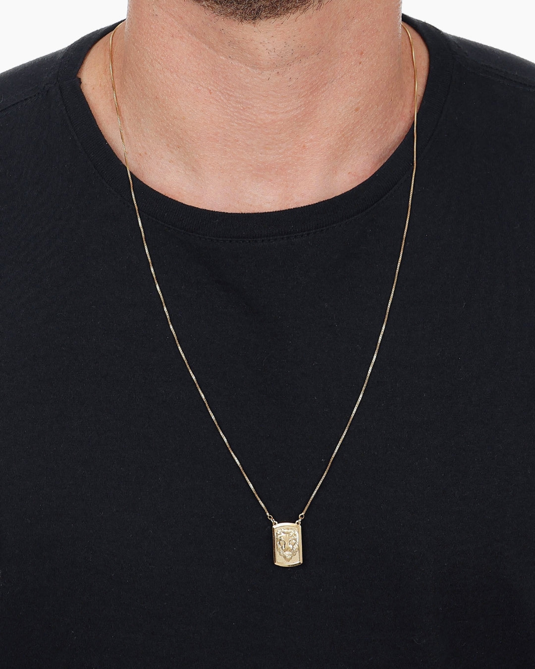 Escapulário Pingente Leão em Ouro Semijoia Símbolo Força Coragem Unissex